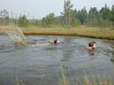 Dscn8782.jpg